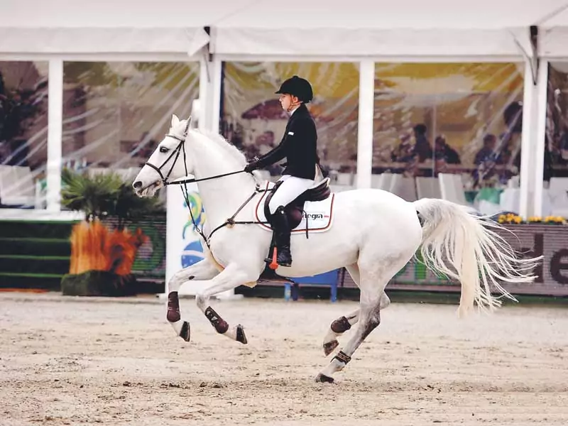 Eine Reiterin mit auf Ihrem Pferd auf einem Reitboden mit TOPDRAIN-Schicht