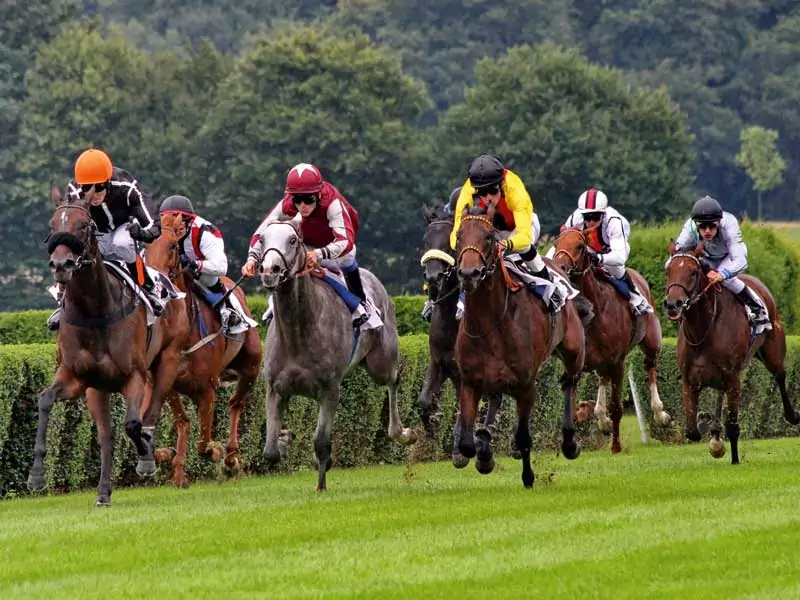 Reiter auf einem Reitboden aus KRESKAT EQUO Rasentretschicht